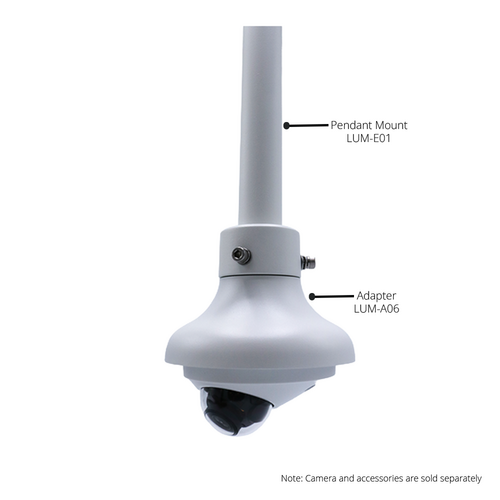 Wedge N3W Ceiling Mt Combo