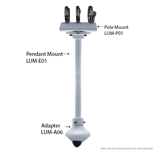Wedge N3W Pole Mount Ceiling Combo